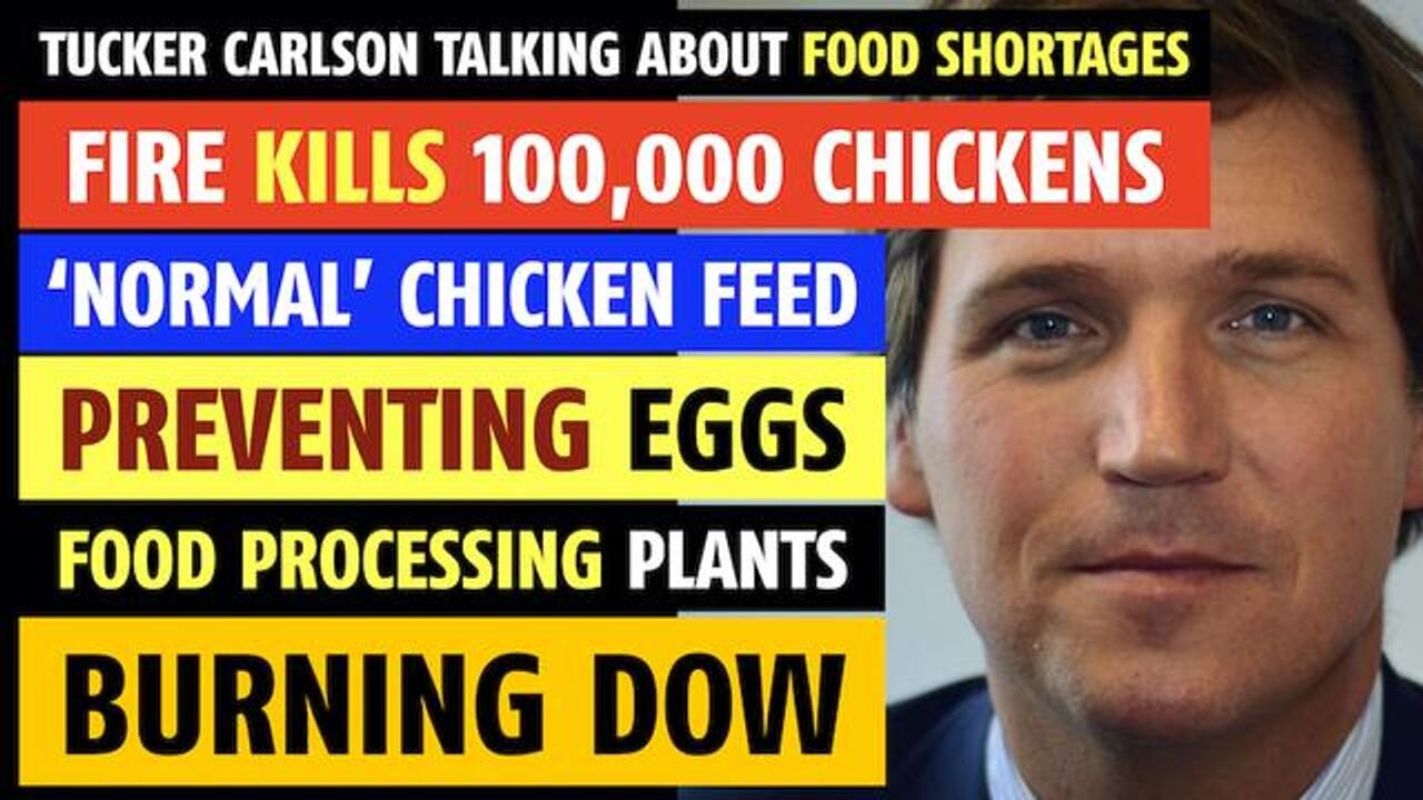 Fire kills 100,000 chickens, chicken feed preventing egg laying, food shortages, Tucker Carlson