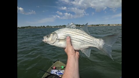 Smashing wiper with just one lure!