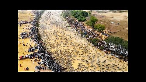 This Is Crazy! What Happened in Australia Shocked the World