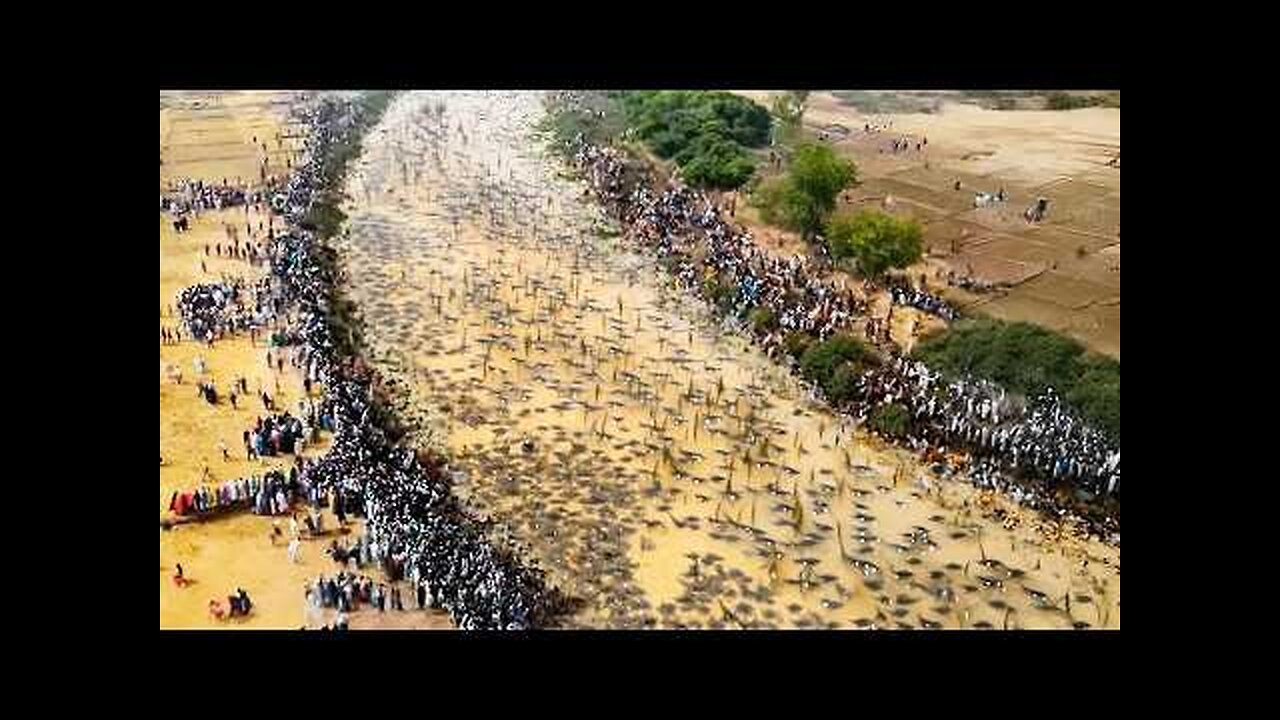 This Is Crazy! What Happened in Australia Shocked the World