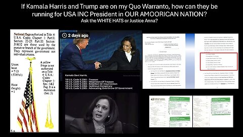 How did the Public get fooled by the USA Inc COURTS & How can Trump & Harris RUN for USA CEO IF...
