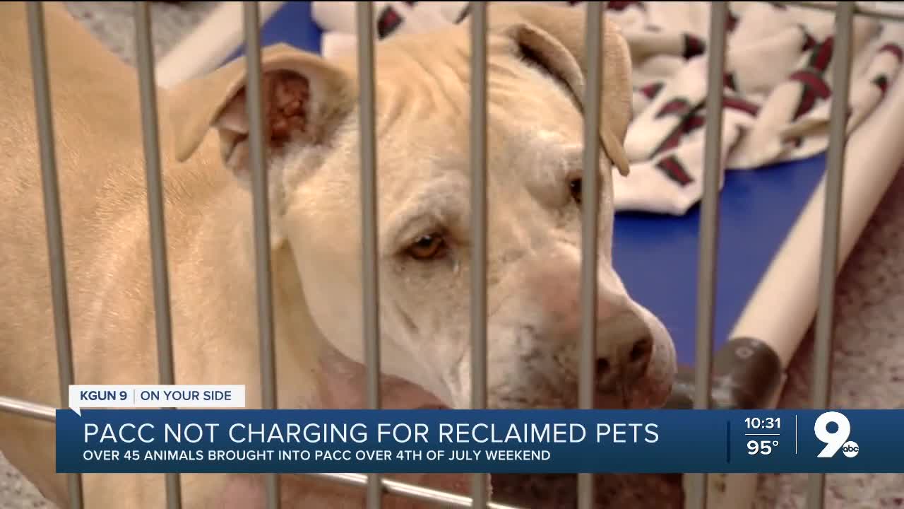PACC takes in nearly 45 pets following holiday weekend