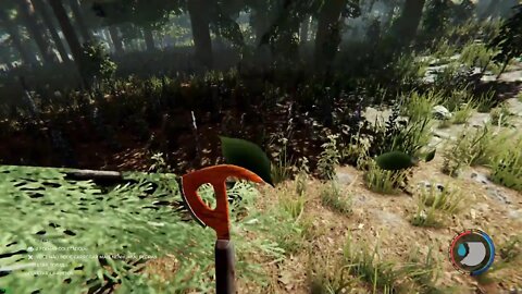 The Forest