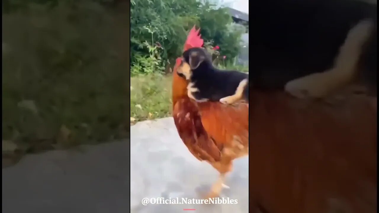A cute rider on a cute ride