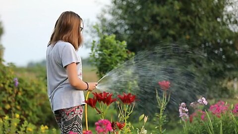 Winter flower || flower garden || flower