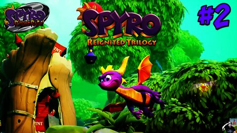 Spyro 2 Ripto's Rage (Reignited Trilogy) Autumn Plains [Live Replay]