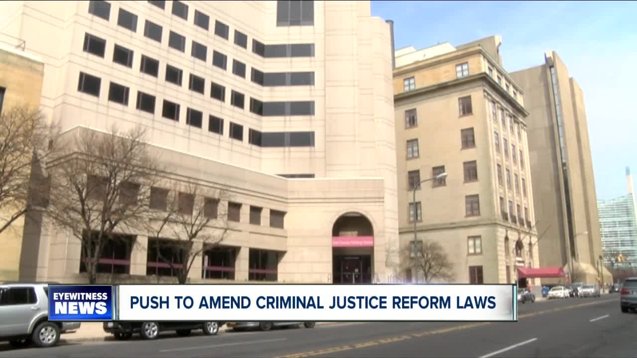 Buffalo Common Council Members urge New York State Legislature amend bail reform law
