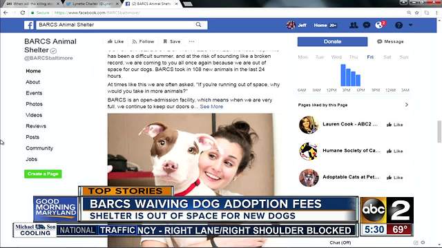 BARCS waives adoption fees