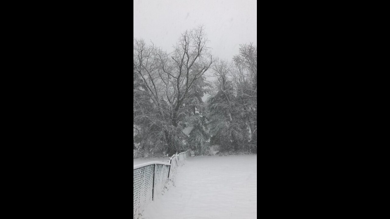 Winter snow storm in north east in America