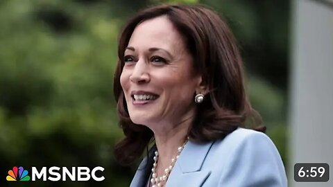 She wants a bulldog’- VP Kamala Harris set to choose running mate from rising Democrat star Download