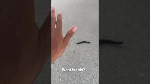 What is this? Rock Mercury