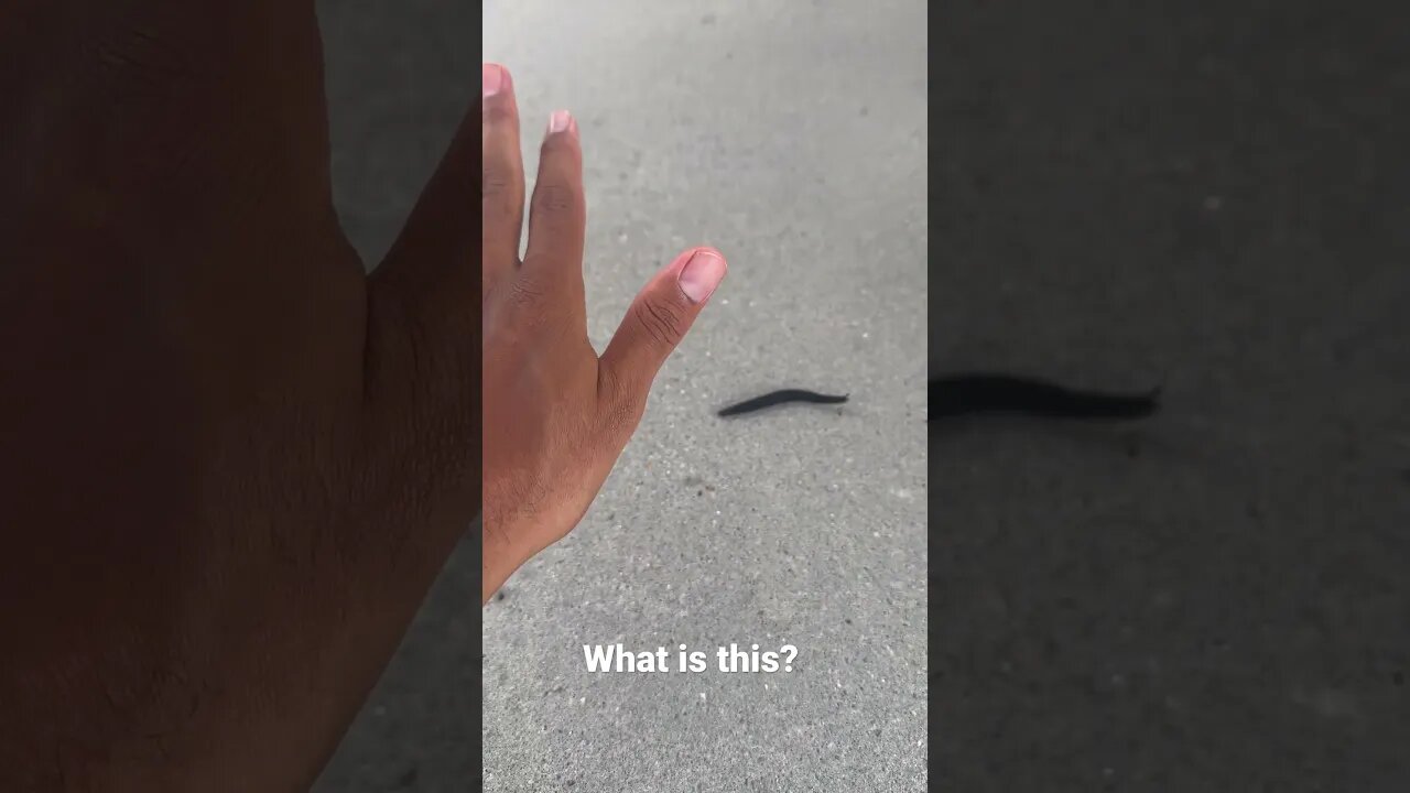 What is this? Rock Mercury