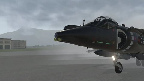 X-Plane kept crashing.