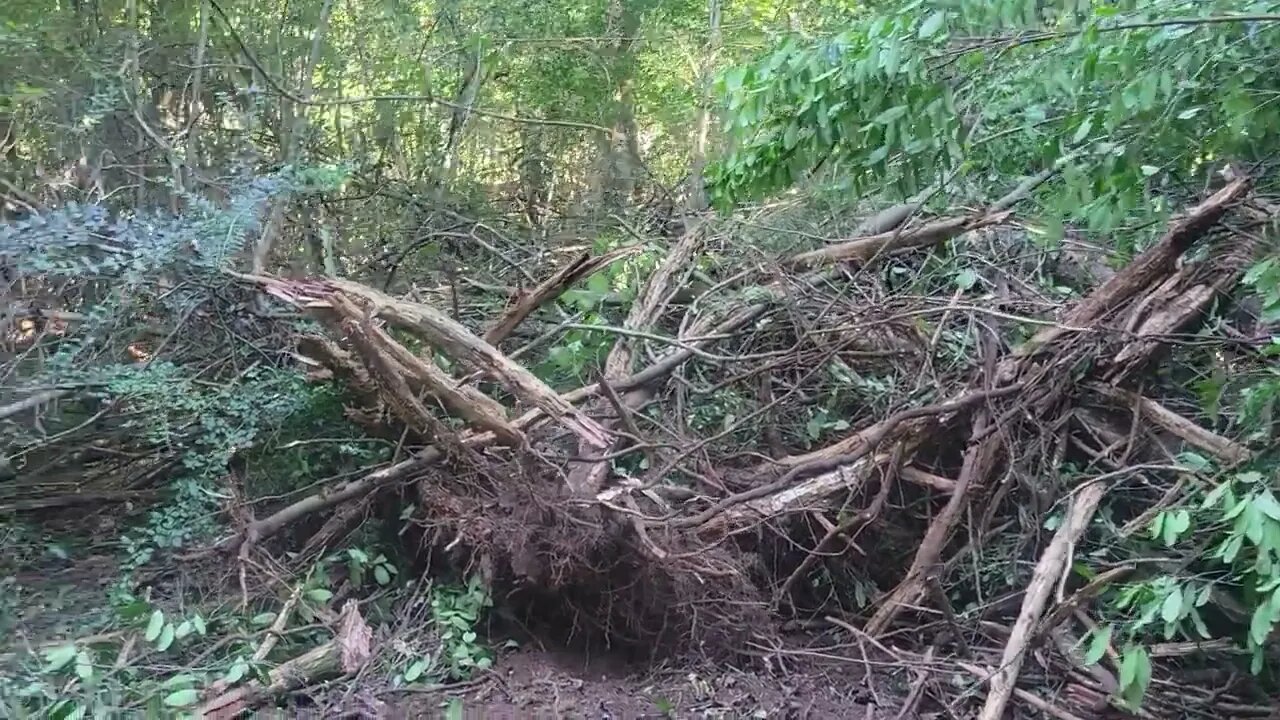Working on the future Goat pen
