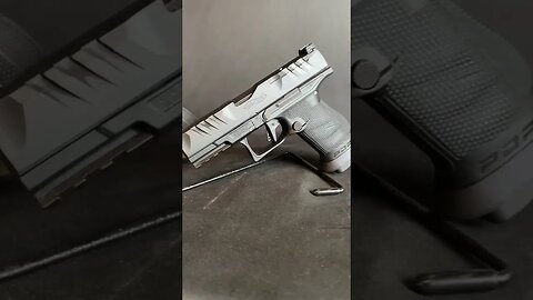 Walther PDP Pro SD Full size and Compact!! #trending #shorts #shortsvideo #pewpew #walther #pdp