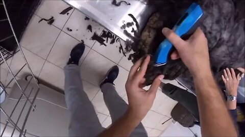 Grooming % an extremely matted cat