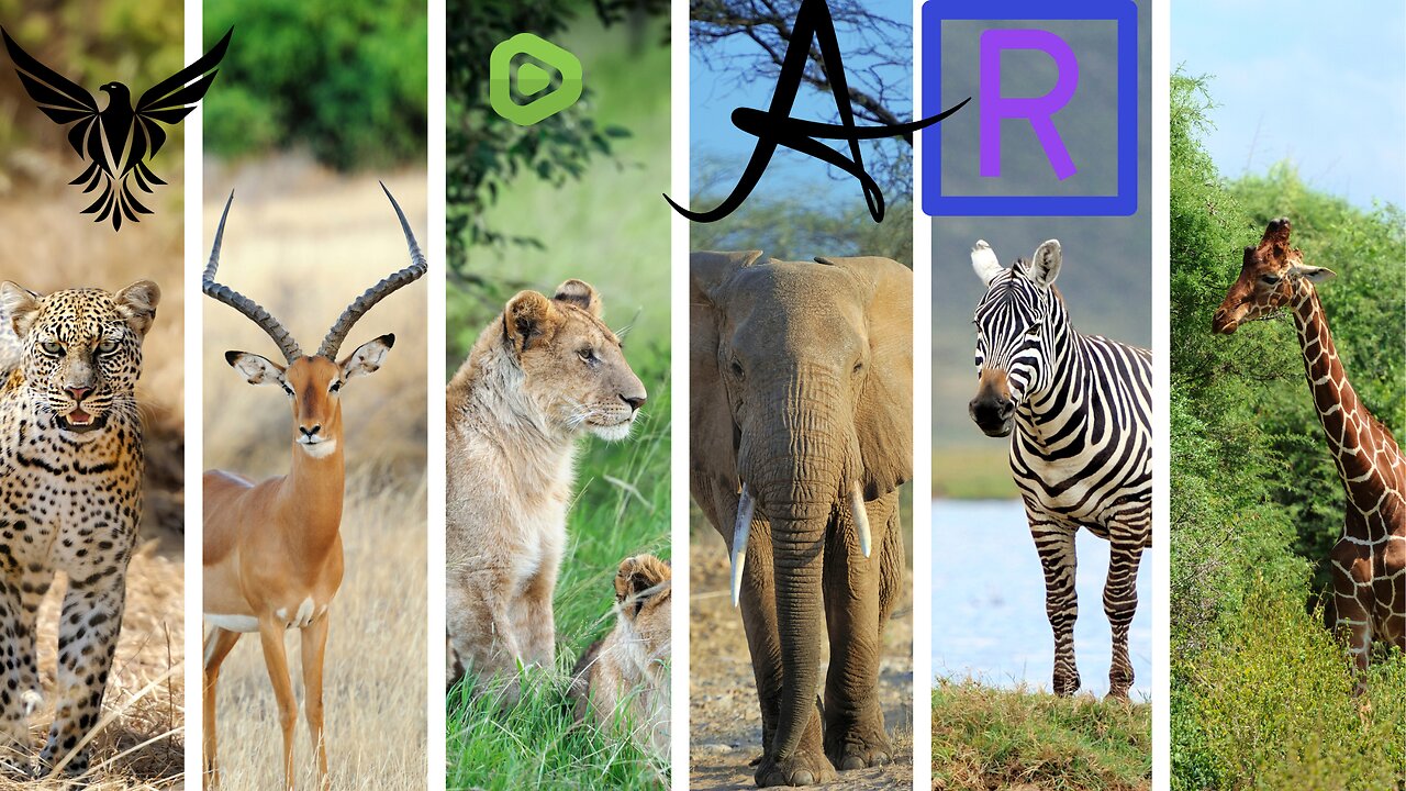 Animals are hunting each other in a dangerous way.