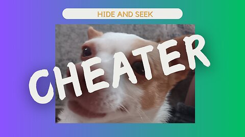 Hide and Seek-CHEATER!