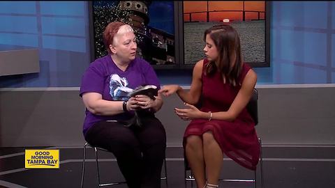 Rescues in Action Sept. 30| Avalon needs a forever home