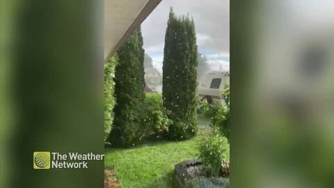 Small hail covers the ground on a sunny day