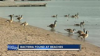 South Shore Beach closed Thursday over elevated levels of bacteria