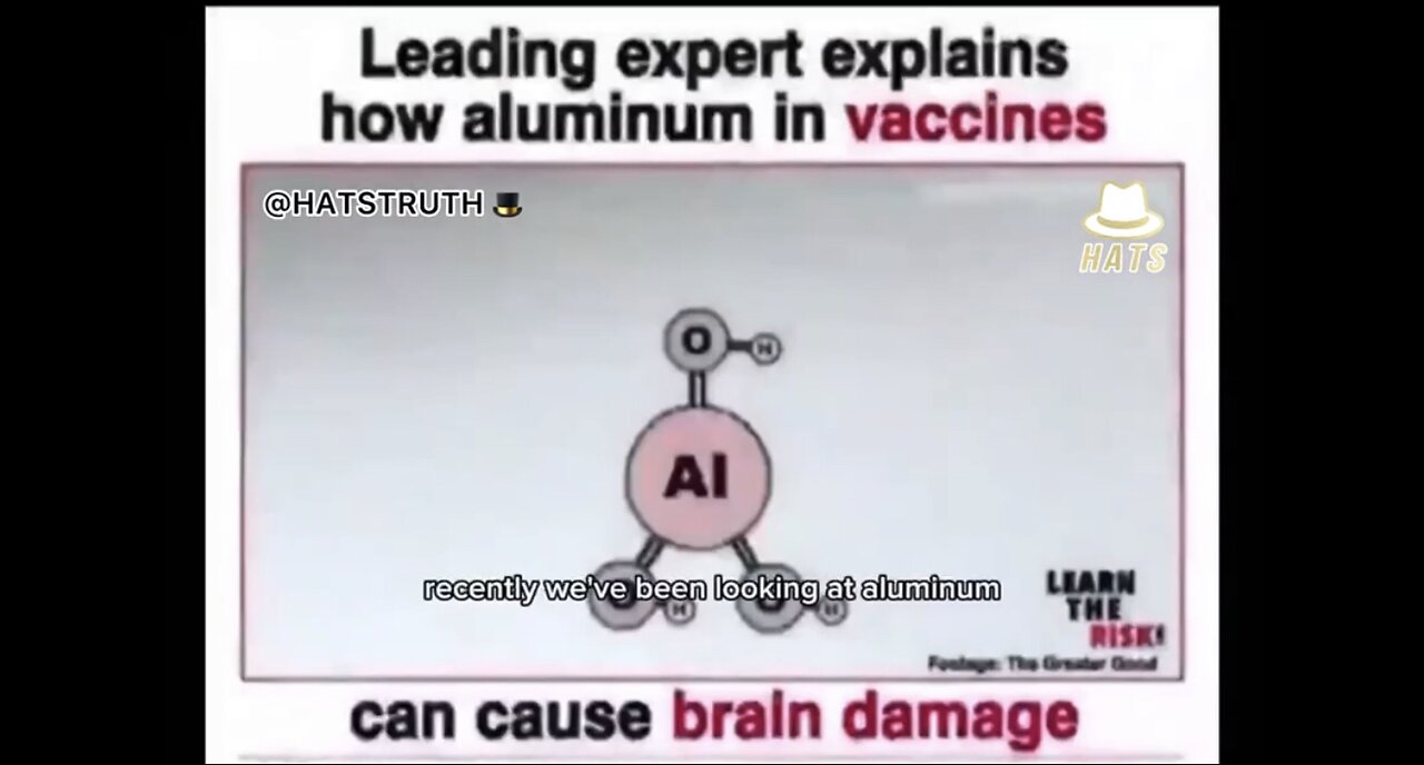 Leading expert explain how aluminum in vaccine can cause brain damage