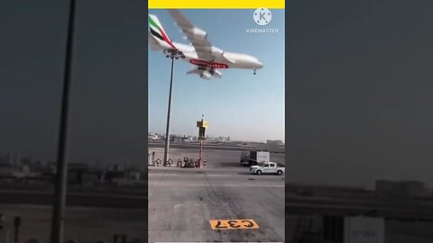 wait till the end 😱😱 #shorts #funny