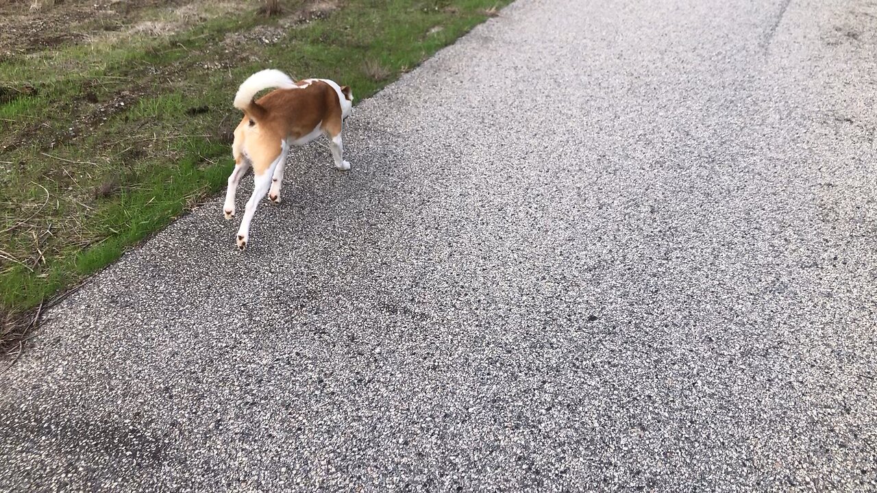 Getting the miles in ππΆπ¦πΊ