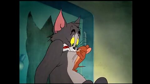 fights Tom and Jerry funny fighte video