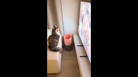 Everyone dances!