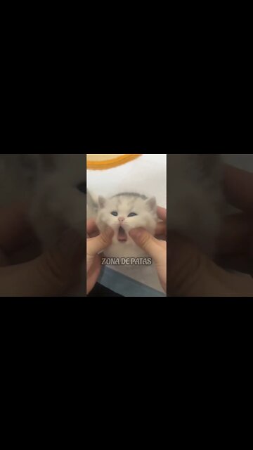 CUIDANDO DA SAÚDE 🥰🥰🥰