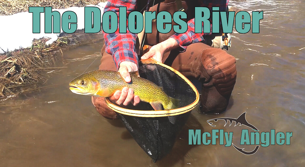 Could it be PIKE in that there lake? - Fishing the Dolores River - McFly Angler Episode 11