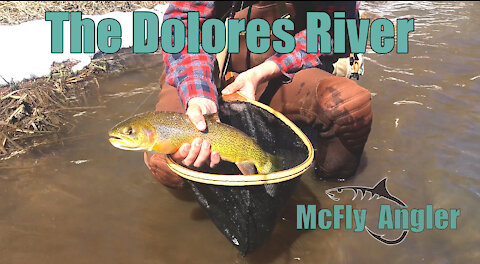 Could it be PIKE in that there lake? - Fishing the Dolores River - McFly Angler Episode 11