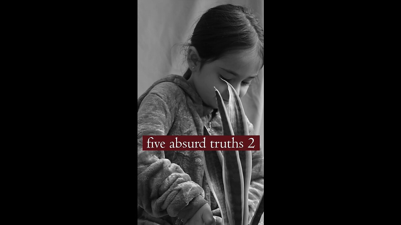 Five Absurd Truths 2