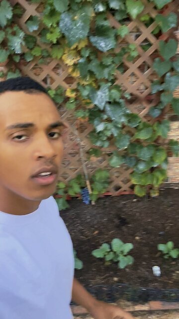 Greatness is in the details