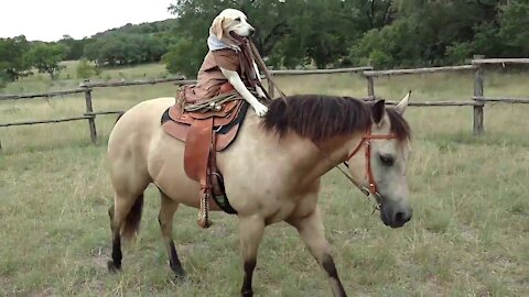 Friends with benefits. 🐴🐶✨ Friends forever!!