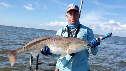 Mid-day Speckled Trout Fishing!