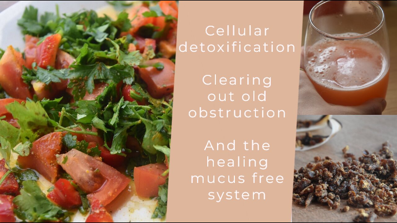 Cellular detoxification, clearing out old obstruction and the healing mucus free system