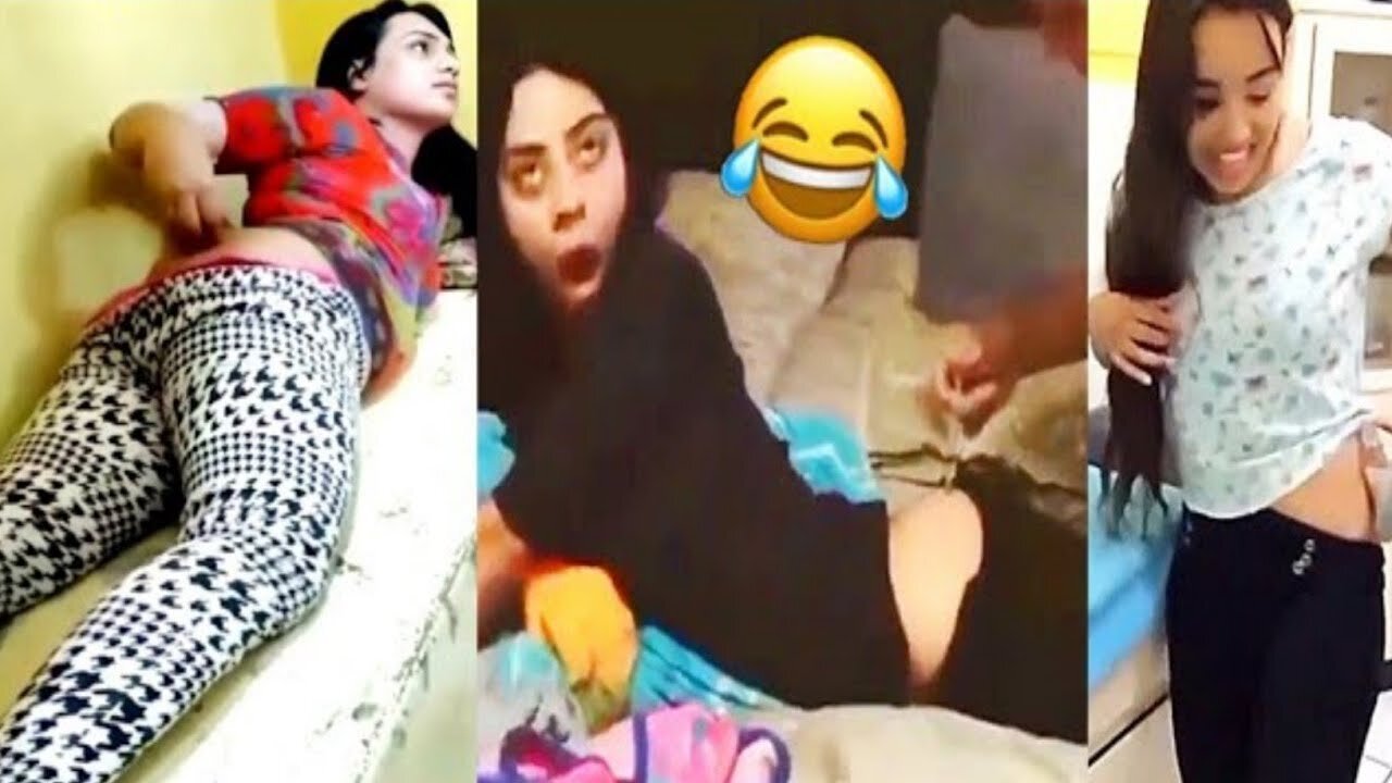 Funniest Girls 🐱In The World😂 Funny and Fails Pets Video #shorts #54 #cats #funny #animals