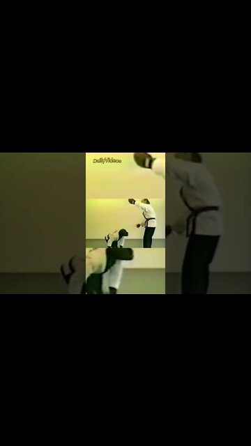 Monkey Kickboxing #shorts