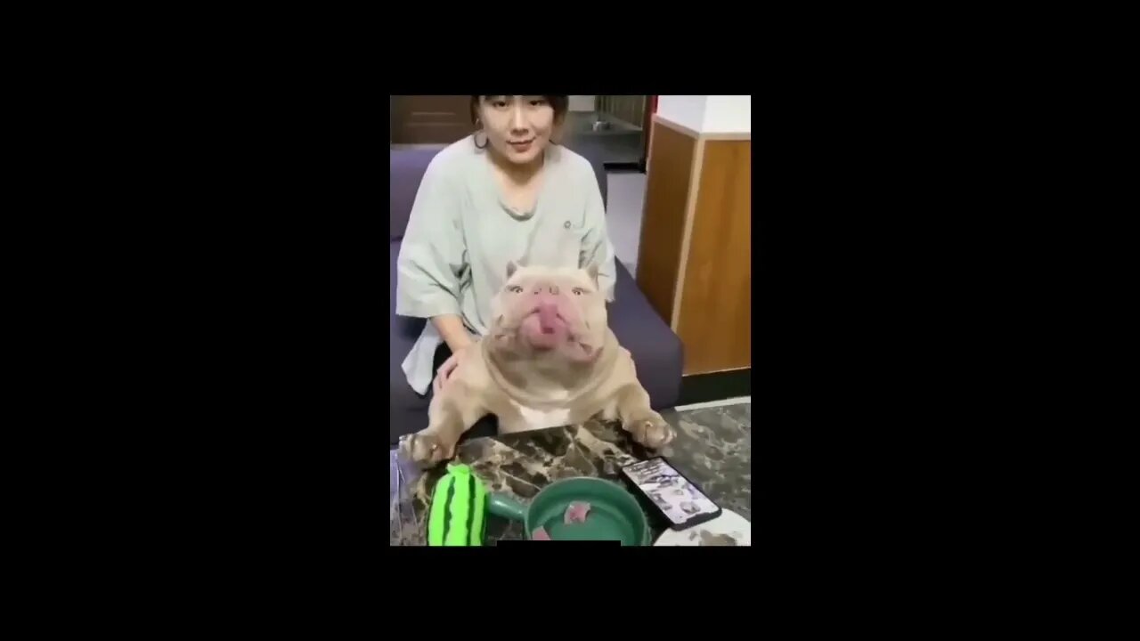 YOU LAUGH YOU LET THEM CLAP