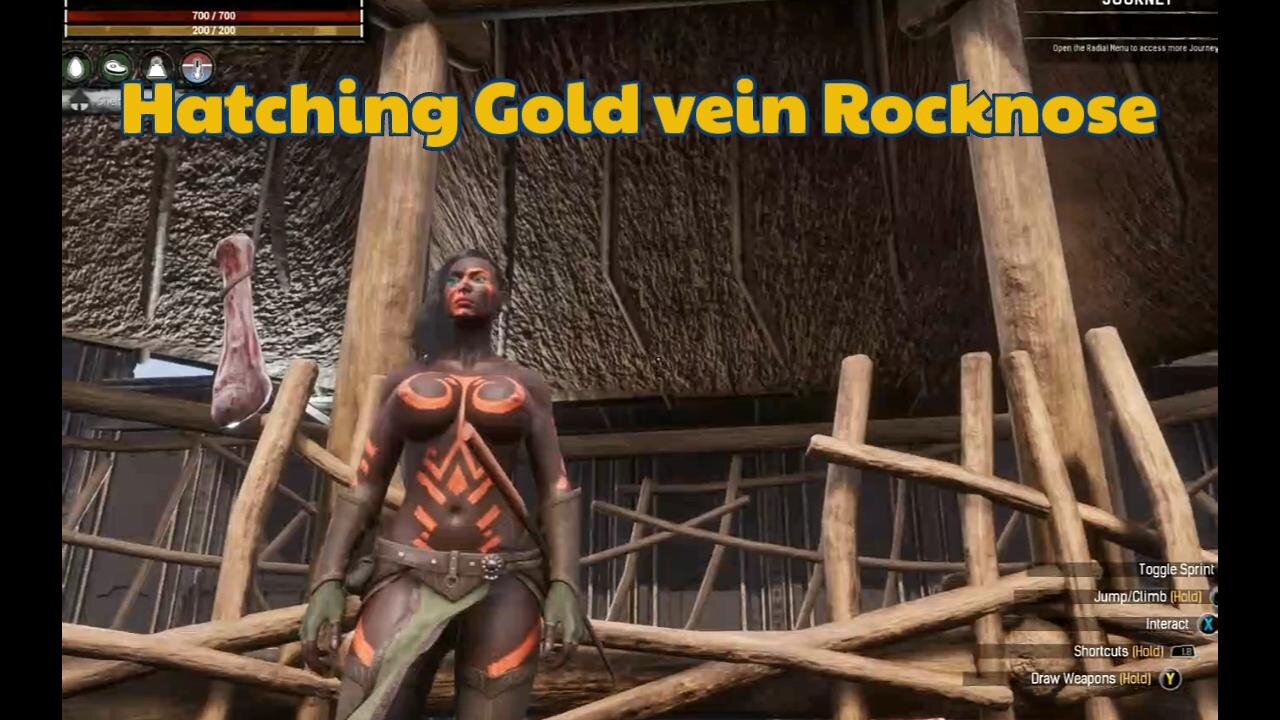 Conan Exiles, Beginners guide, raising, gold vein Rocknose, Bouncing ,Busty Boobs, breast expansion