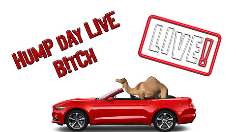 LIVE with the ONLY Industry Killers. ASK QUESTIONS. Catch Deals.