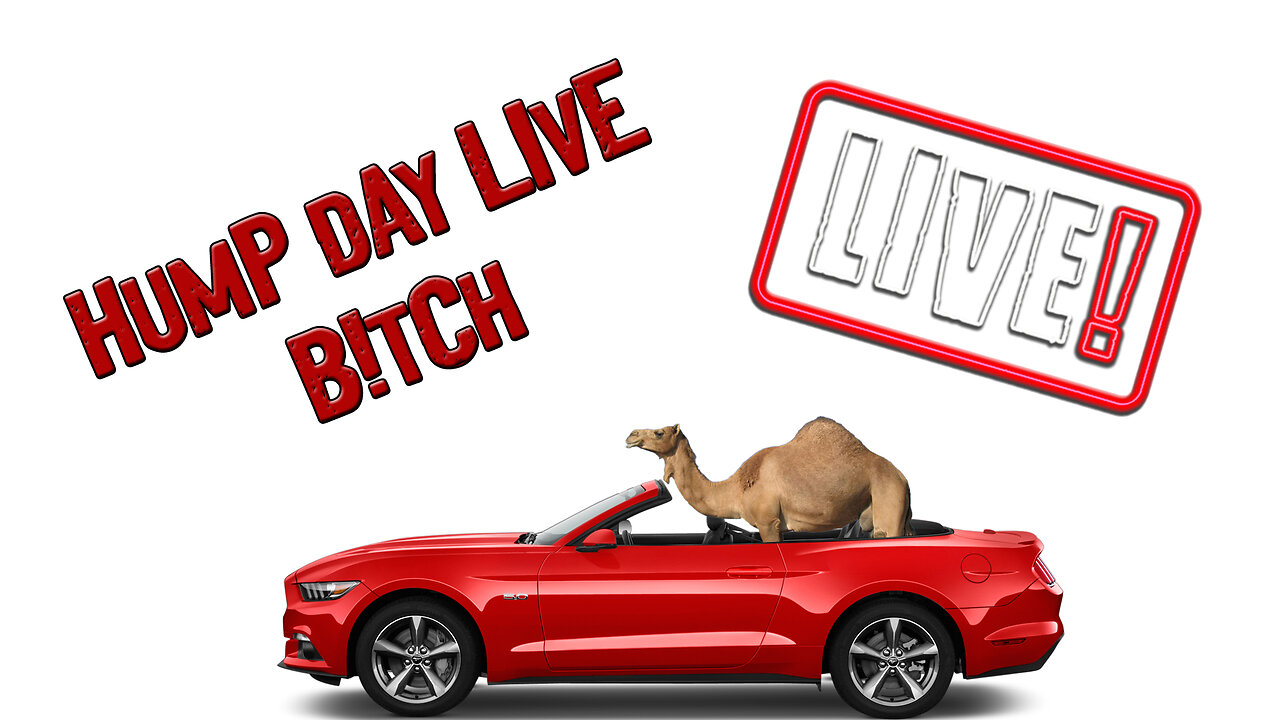 LIVE with the ONLY Industry Killers. ASK QUESTIONS. Catch Deals.