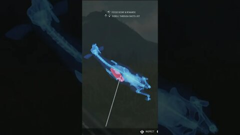 Penetration 🎯 Comparison of New & Old Muzzleloaders - theHunter: Call of the Wild #shorts
