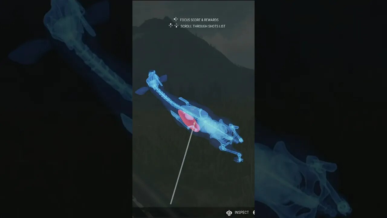 Penetration 🎯 Comparison of New & Old Muzzleloaders - theHunter: Call of the Wild #shorts