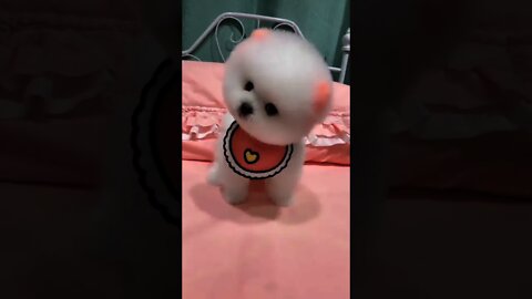 Tão fofo 😍