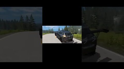 flew beautifully / BeamNG DRIVE