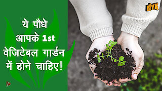 आपकी पहली Vegetables Gardening Plan के लिए Top 4 पौधे