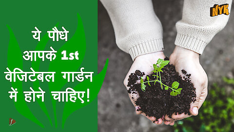 आपकी पहली Vegetables Gardening Plan के लिए Top 4 पौधे